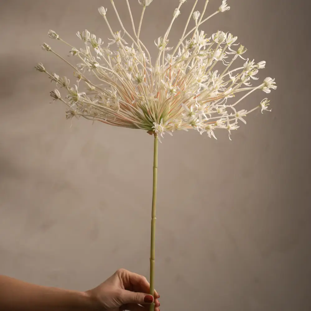  Allium White 125 cm