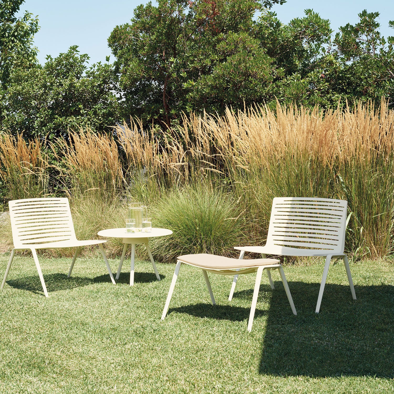 Zebra jalkatuki White