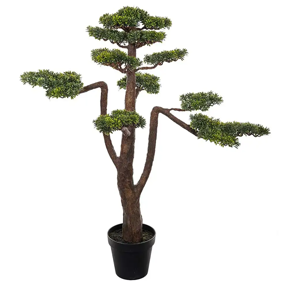 Bonsai Puu 125 cm