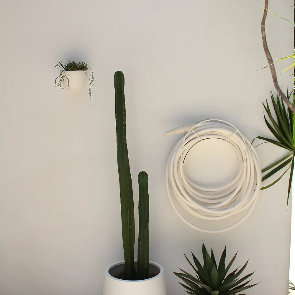 Letkuteline White Snake