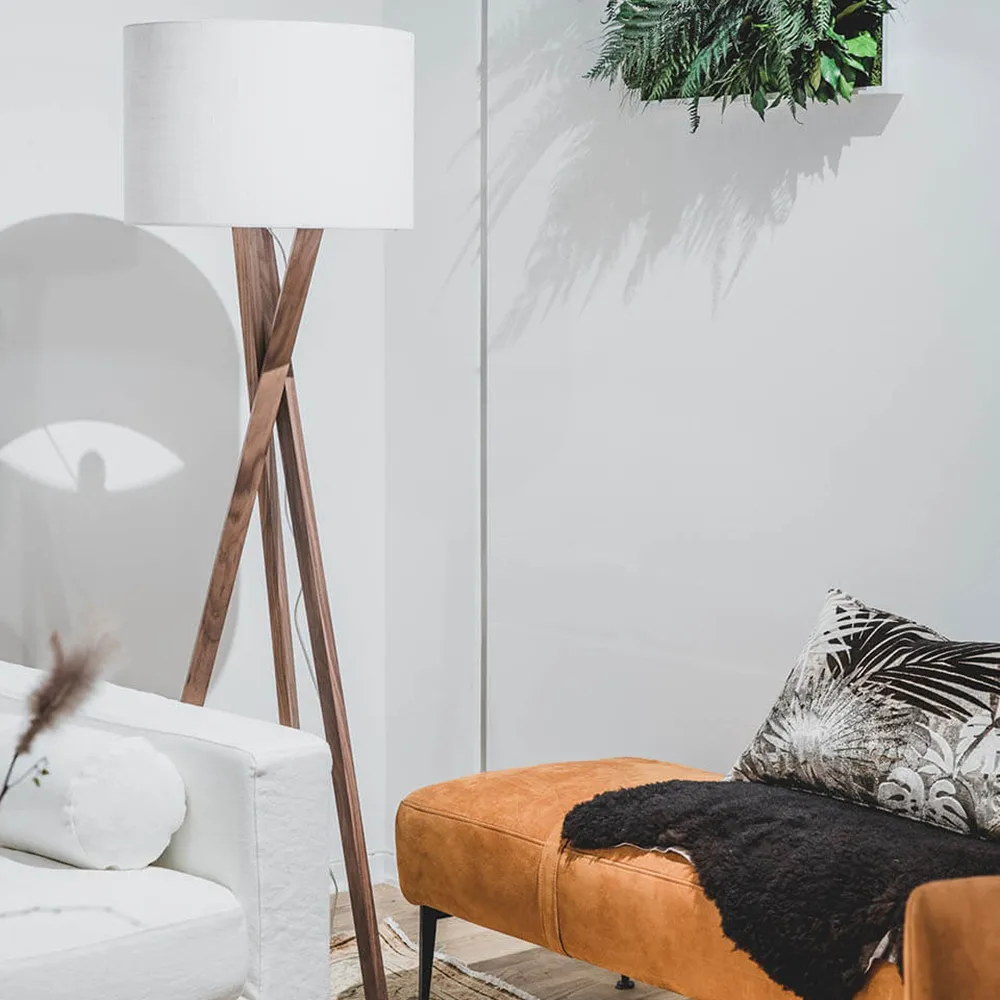 Vega Lattiavalaisin pähkinäpuu