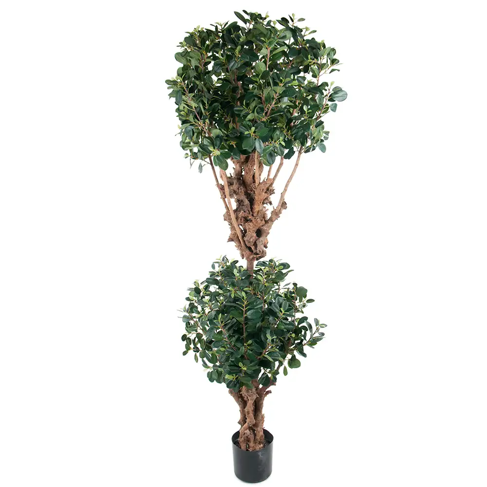 Panda viikuna 180 cm