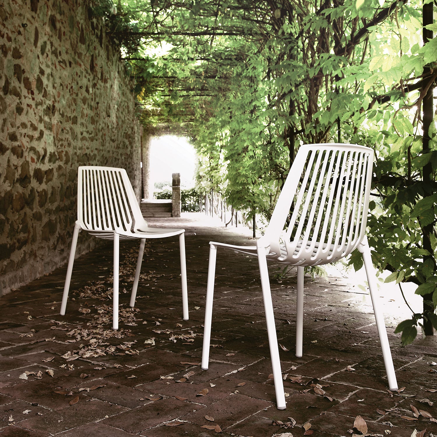 Rion tuoli Green Tea