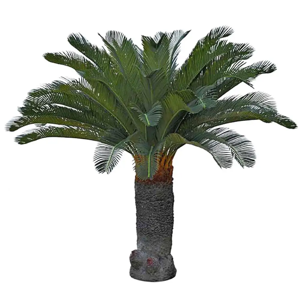 Cycas Palmu 100 cm