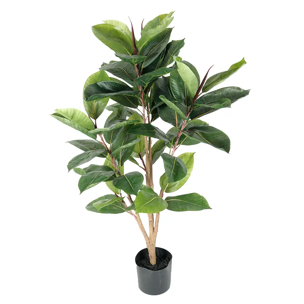 Mr Plant Robusta-viikunapuu 90 cm