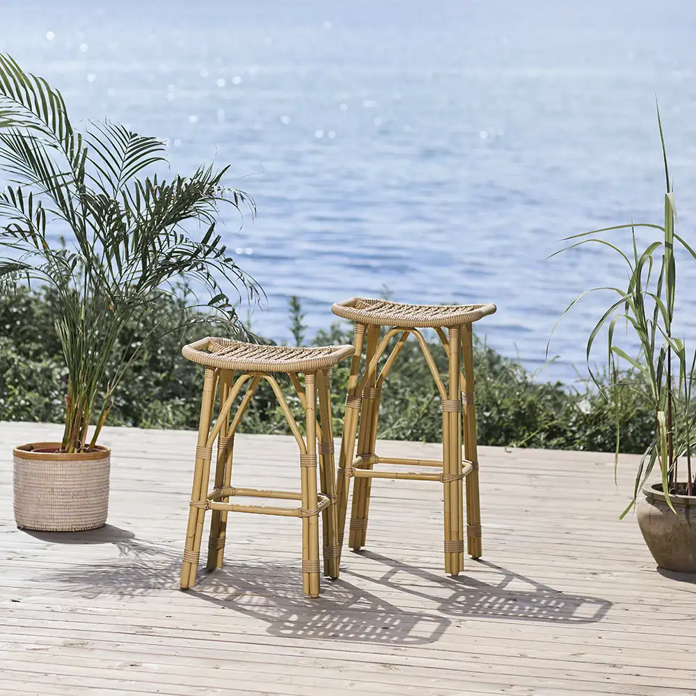 Salsa jakkara nature