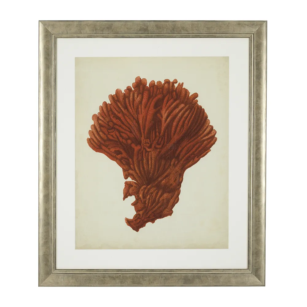 Print Antique Red Corals set of 6